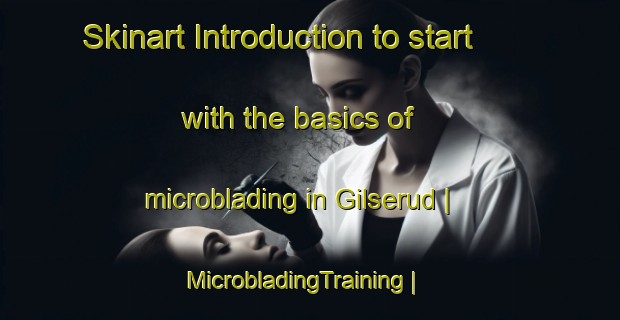 Skinart Introduction to start with the basics of microblading in Gilserud | MicrobladingTraining | MicrobladingClasses | SkinartTraining-Sweden